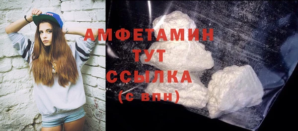 гидра Магас