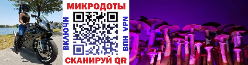 hydra рабочий сайт  Жердевка  Псилоцибиновые грибы мицелий 